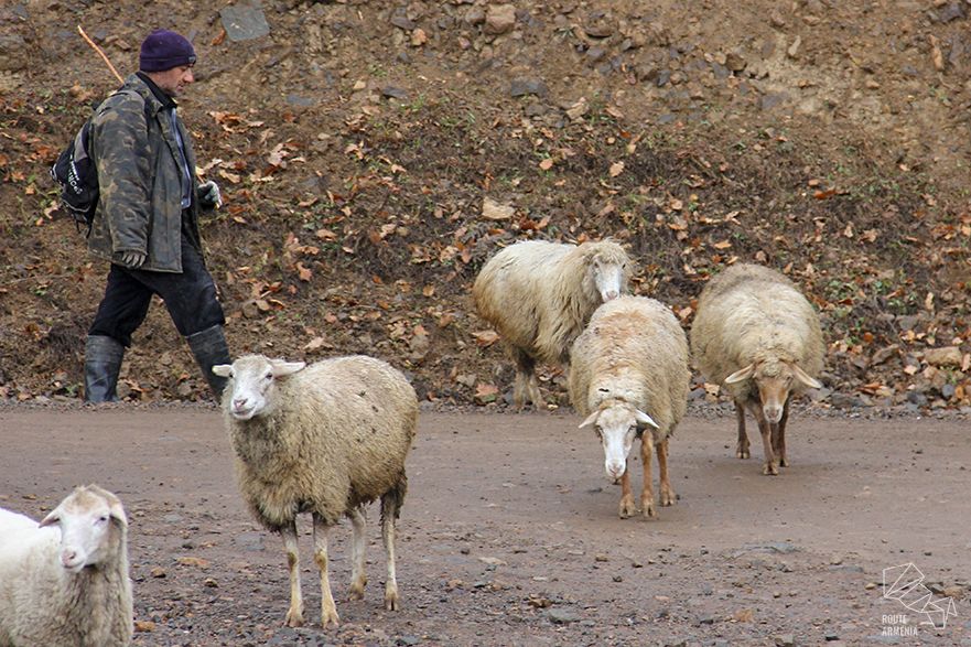 Shepherd from Tatev village, Armenia.